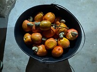 IMG_5677
