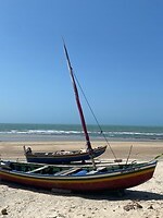 IMG_5656