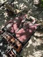 IMG_1161