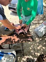 IMG_1158