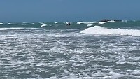 IMG_1137