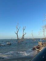 IMG_1193