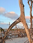 IMG_9807
