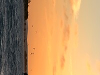 IMG_9829