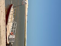 IMG_9780