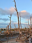 IMG_9809