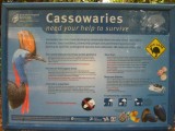 Cassowary-country