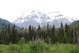 Mount Robson