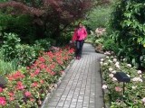 The Butchart Gardens