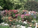The Butchart Gardens