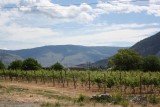 Onderweg richting Osoyoos