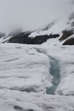 Athabasca Glacier