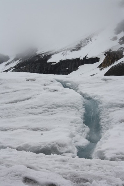 Athabasca Glacier