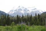 Mount Robson