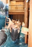 Museum Long Beach