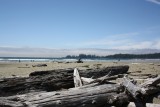 Long Beach