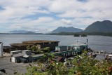 Tofino