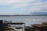 Tofino