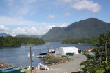 Tofino