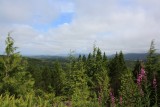 Op weg naar Port Alberni