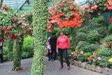 The Butchart Gardens