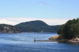 Swartz Bay - Tsawwassen