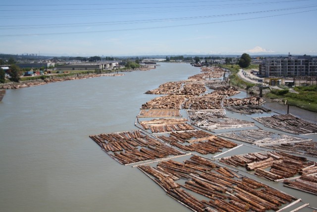 Fraser river