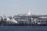 Cruisehaven