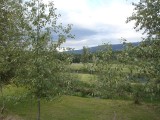 Wells Gray golf resort