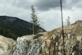 IMG_4372