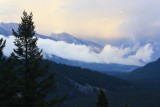 IMG_4405