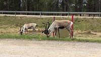IMG_5658