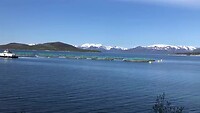 IMG_5931