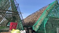 IMG_5868