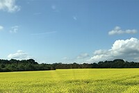 IMG_6614