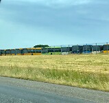 IMG_6642