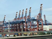 IMG_6652
