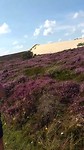 VID_20190814_154224993