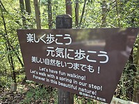 11242