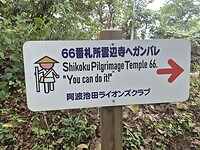 15685