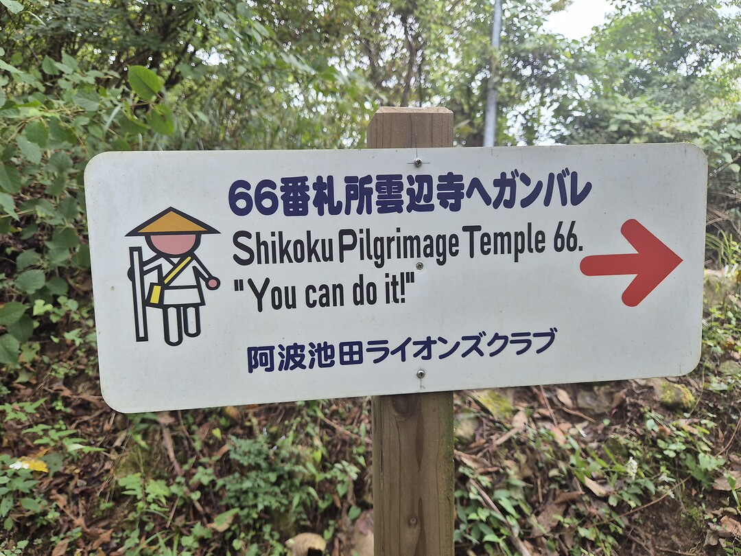 15685