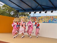 16382