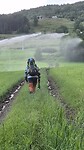 En ni willen regenen