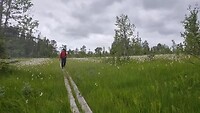 Wet lands