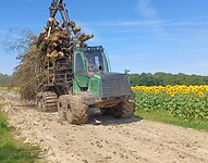 Bossen op de route