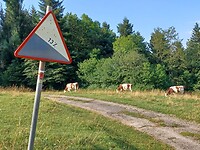 20240801_094628
