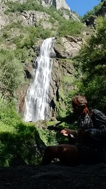In to the wild