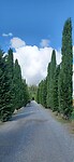 Toscanie