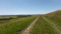 The South Dows, Sussex