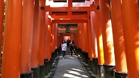 Wandeling door de poorten van Fushimi Inari